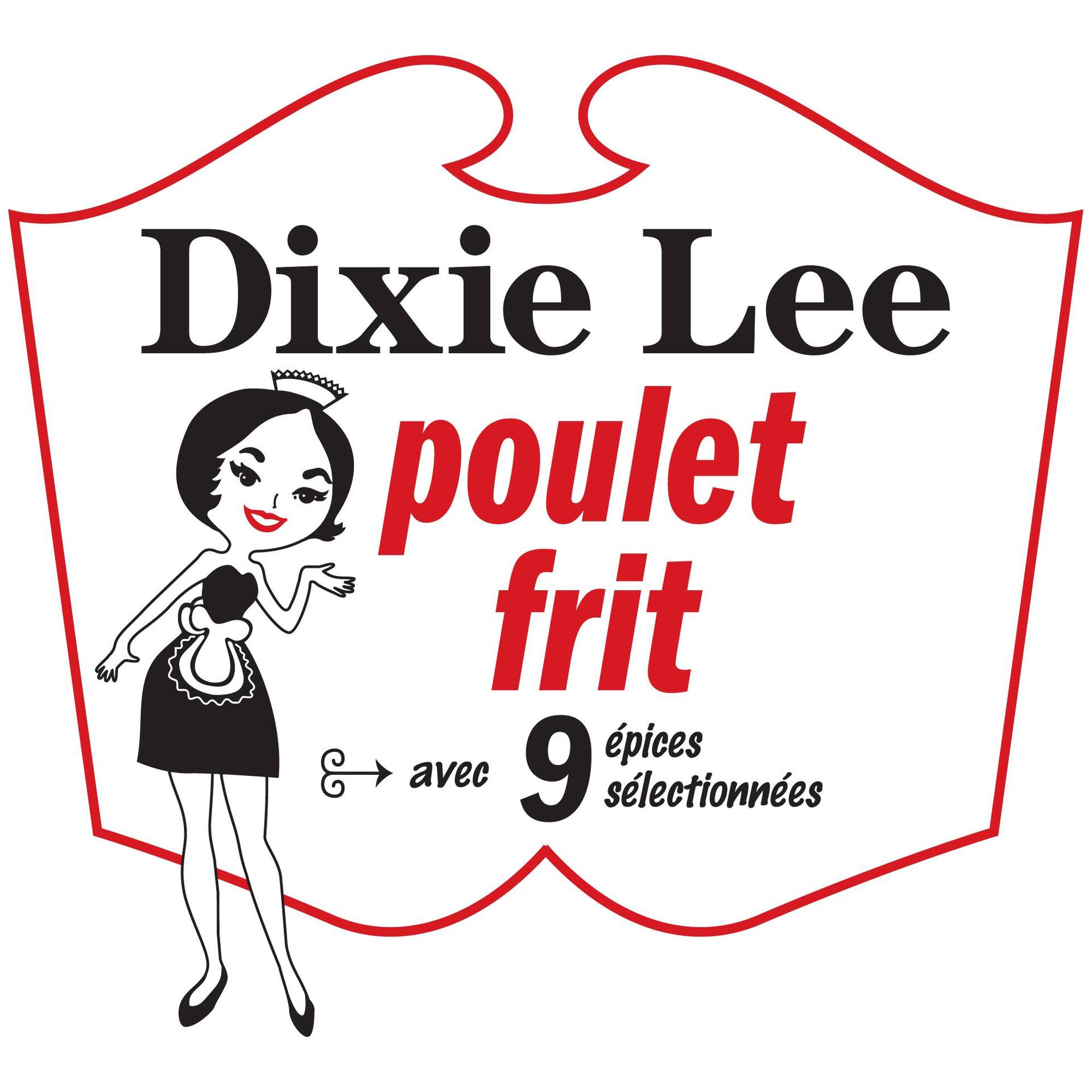 dixieleematane.com